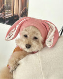 Knitted Dog Hat with Rabbit Ears – Warm Autumn/Winter Cap for Small Dogs & Puppies