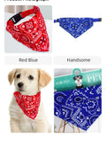 Adjustable Pet Bandana Collar for Dogs & Cats