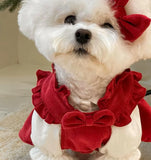 Christmas Bow Knot Dress Set for Dogs