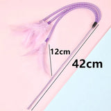Feather Cat Toy – Interactive Stick with Bell