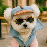 Pet Sun Hat & Sunglasses Set – Dog Cap & Cat Headwear