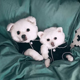 Summer Dog Pajamas – Lightweight Shirt & Coat for Small Dogs