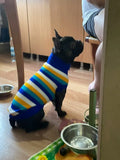 Warm Knitted Dog Sweater – Winter Coat for Small and Medium Pets