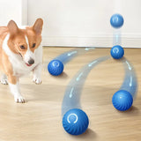 Smart Moving Dog Toy Ball – USB Rechargeable