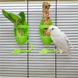 Bird Cuttlebone Holder – Cage Feeder for Parrots and Budgies