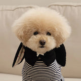 Cute Rabbit Ears Pet Knitted Hat