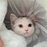 Winter Warm Pet Carrier Backpack for Small Dogs & Cats