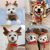 Christmas Rudolph Costume for Small Pets