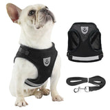 Adjustable Mesh Dog Harness with Leash