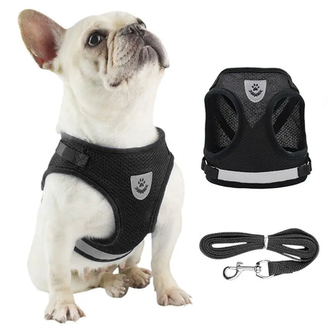 Adjustable Mesh Dog Harness with Leash