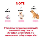 Duck & Frog Pet Harness Set – Breathable Chest Straps for Cats & Puppies