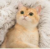 Plush Washable Pet Bed – Cozy Sofa Mat for Cats & Small Dogs