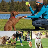 Durable Dog Chewing Squeak Toy Ball Outdoor Throwing Dog Recovery Training Pet Supplies