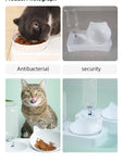Tilted Pet Bowl – Protects Dog Cat Neck