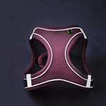 Reflective Pet Harness Vest – Adjustable Walking Set