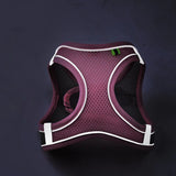 Reflective Pet Harness Vest – Adjustable Walking Set