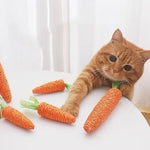 Cat toy - carrot teething and cat teasing sticks, bite-resistant and scratch-resistant for teething and clawing
