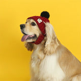 Knitted Dog Hat with Pom-Pom – Windproof Winter Cap for Small Pets