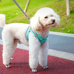 Reflective Pet Harness Vest – Adjustable Walking Set