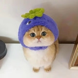 blueberry/apple Hat for small Pets