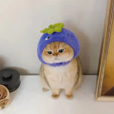 blueberry/apple Hat for small Pets