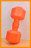 TPR Dumbbell Dog Toy – Squeaky Chew for Teeth Cleaning