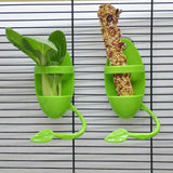 Bird Cuttlebone Holder – Cage Feeder for Parrots and Budgies
