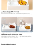 Tilted Pet Bowl – Protects Dog Cat Neck