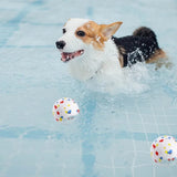 Bite-Resistant Dog Ball – High Elastic E-TPU Chew Toy