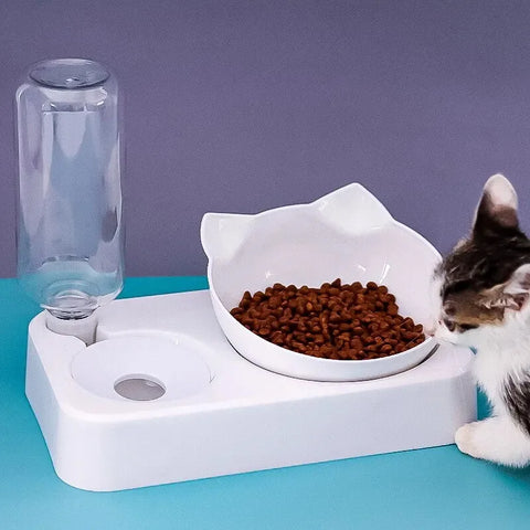 Tilted Pet Bowl – Protects Dog Cat Neck