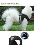 Adjustable Mesh Dog Harness with Leash