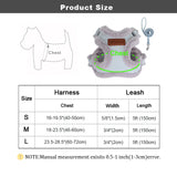 Winter Padded Dog Harness & Leash – Adjustable Vest for Dogs & Cats