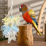 Fun & Durable Bird Toys – Chew, Bite, and Puzzle Toys for Parakeets, Parrots, Cockatoos, African Greys, Macaws & Lovebirds