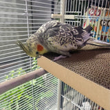 Parrot Chew Toy – Shredded Paper Stress Relief Board