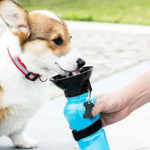 Portable Dog Water Bottle – 500ml Travel Cup