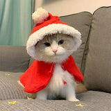 Funny Christmas Costume for Pets