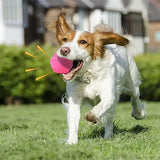 Durable Dog Chewing Squeak Toy Ball Outdoor Throwing Dog Recovery Training Pet Supplies
