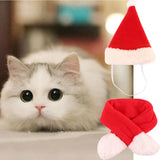 Cute Christmas Pet Cloak