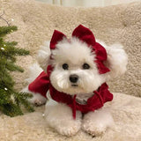 Christmas Bow Knot Dress Set for Dogs