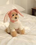 Knitted Dog Hat with Rabbit Ears – Warm Autumn/Winter Cap for Small Dogs & Puppies