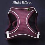 Reflective Pet Harness Vest – Adjustable Walking Set