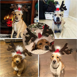Christmas Pet Antler Headband – Festive Elk Hair Hoop for Dogs & Cats
