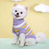 Knitted Dog Sweater – Cozy Autumn/Winter Turtleneck for Small Dogs & Cats