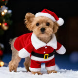 Funny Christmas Costume for Pets