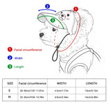 Pet Sun Hat & Sunglasses Set – Dog Cap & Cat Headwear