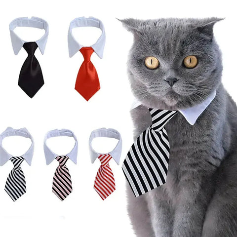 Adjustable Pet Bow Tie Collar for Pets