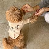 Letter Print Fleece Dog Hoodie