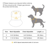 Bowknot Pet Harness & Leash Set – Lace Crystal Vest for Cats & Small Dogs