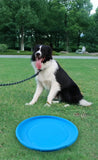 Silicone Dog Flying Disc – Interactive Training Toy