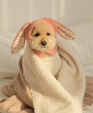 Knitted Dog Hat with Rabbit Ears – Warm Autumn/Winter Cap for Small Dogs & Puppies